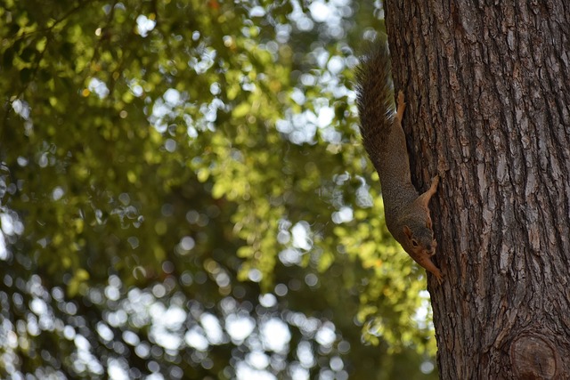 未經充分驗 未經充分驗