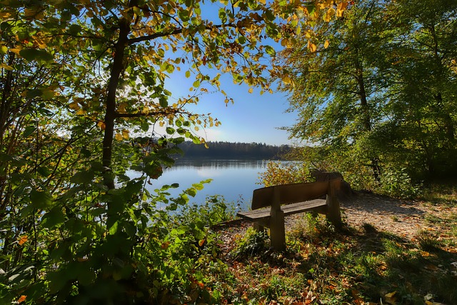 步优化轮换 步优化轮换